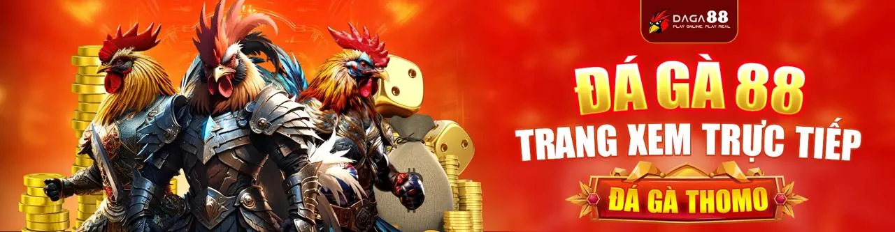 Giải quyết tranh chấp tại vnd288
